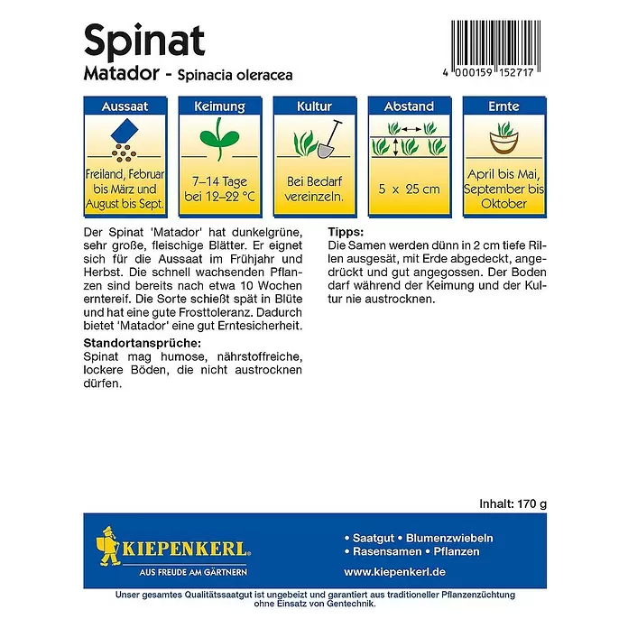 Kiepenkerl Gemüsesamen Spinat - Spinacia oleracea, Erntezeit: April - Rückansicht