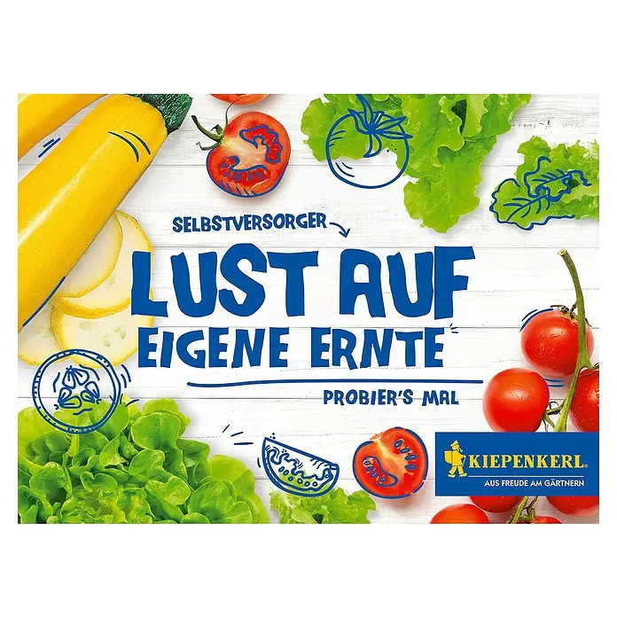 Kiepenkerl Saatgut Lust auf eigene Ernte - Pflücksalat/Zucchini/Tomate - Vorderansicht