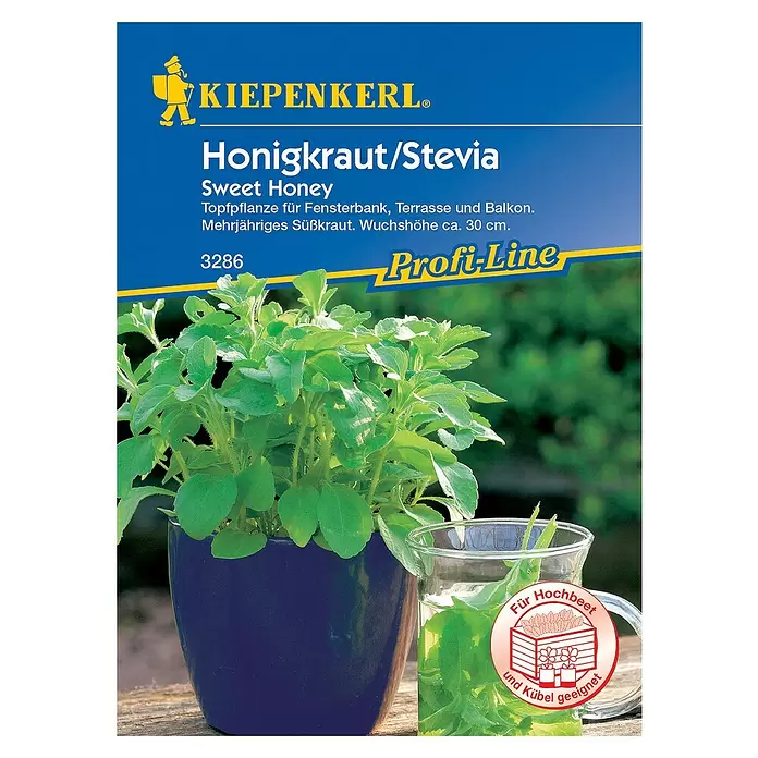 Kiepenkerl Profi-Line Kräutersamen Stevia - Stevia rebaudiana, Erntezeit: Ganzjährig - Vorderansicht