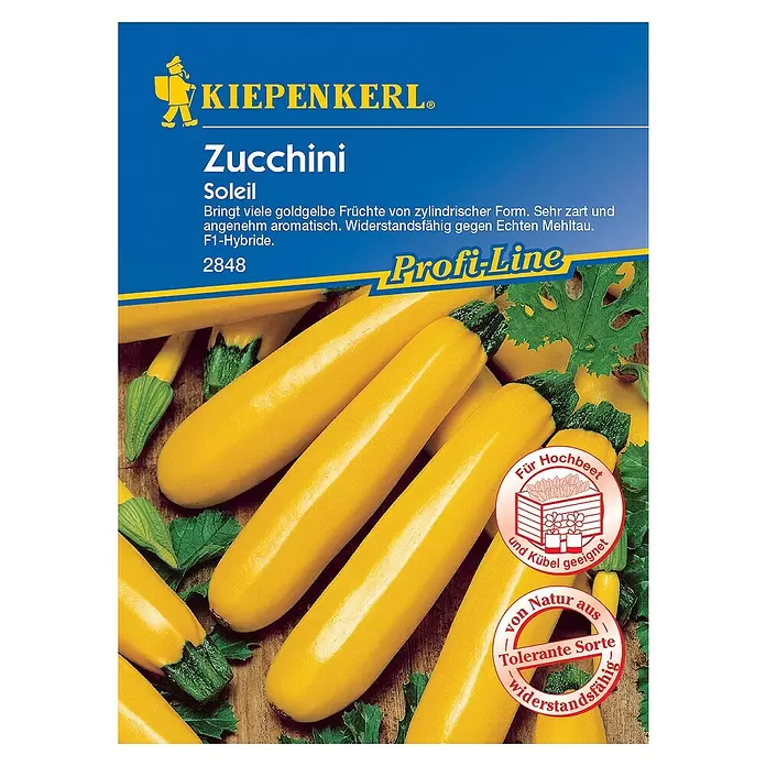 Kiepenkerl Profi-Line Gemüsesamen Zucchini Soleil - Cucurbita pepo, Erntezeit: Juli - Vorderansicht