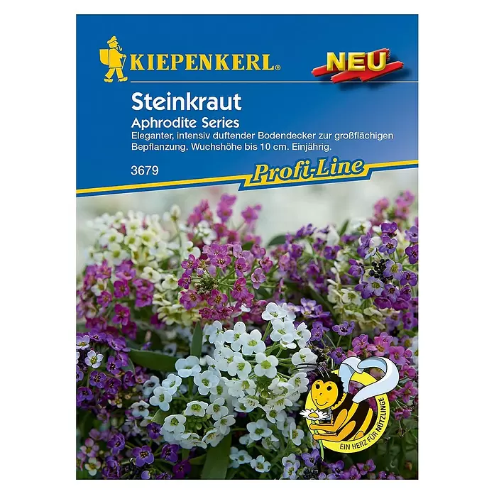 Kiepenkerl Profi-Line Blumensamen Steinkraut - Lobularia maritima - Vorderansicht