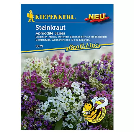 Kiepenkerl Profi-Line Blumensamen Steinkraut