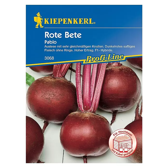 Kiepenkerl Profi-Line Gemüsesamen Rote Bete - Pablo F1, Beta vulgaris var. vulgaris, Erntezeit: August - Vorderansicht