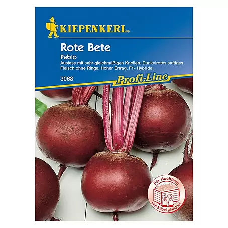 Kiepenkerl Profi-Line Gemüsesamen Rote Bete