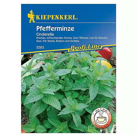 Kiepenkerl Profi-Line Kräutersamen Pfefferminze