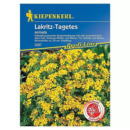 Kiepenkerl Profi-Line Blumensamen Lakritz-Tagetes