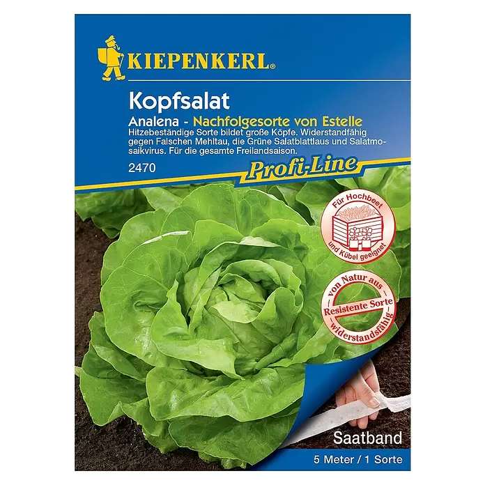 Kiepenkerl Profi-Line Salatsamen Kopfsalat Saatband - Lactuca sativa var. capitata, Erntezeit: Mai - Vorderansicht