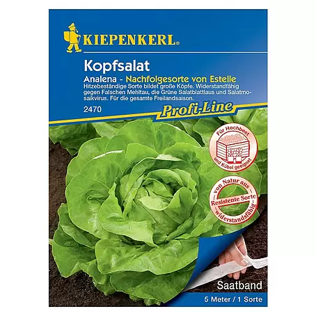 Kiepenkerl Profi-Line Salatsamen Kopfsalat Saatband