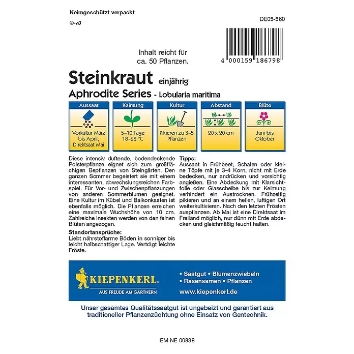 Kiepenkerl Profi-Line Blumensamen Steinkraut - Lobularia maritima - Rückansicht