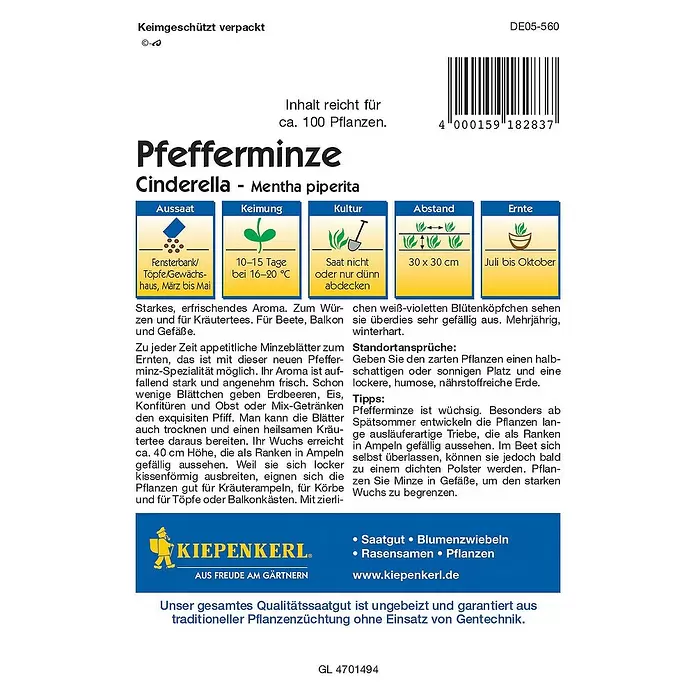 Kiepenkerl Profi-Line Kräutersamen Pfefferminze - Mentha piperita, Erntezeit: Juli - Rückansicht