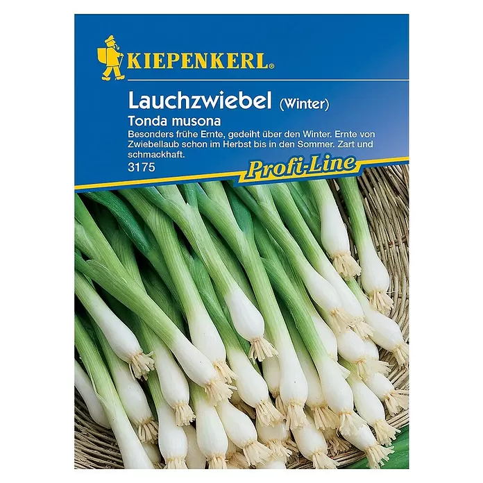 Kiepenkerl Profi-Line Gemüsesamen Winter-Lauchzwiebel - Allium cepa, Erntezeit: April - Vorderansicht