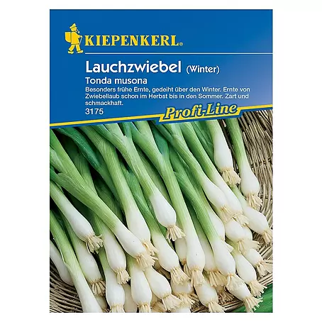 Kiepenkerl Profi-Line Gemüsesamen Winter-Lauchzwiebel