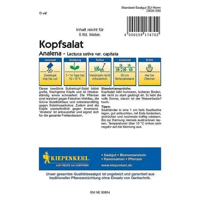 Kiepenkerl Profi-Line Salatsamen Kopfsalat Saatband - Lactuca sativa var. capitata, Erntezeit: Mai - Rückansicht