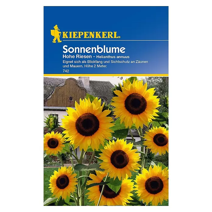 Kiepenkerl Blumensamen Sonnenblume - Hohe Riesen, Helianthus annuus - Vorderansicht