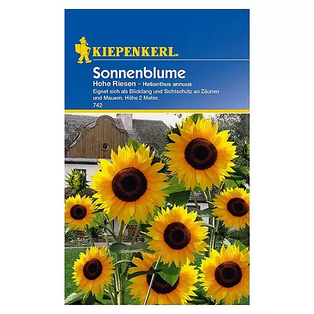 Kiepenkerl  Blumensamen Sonnenblume