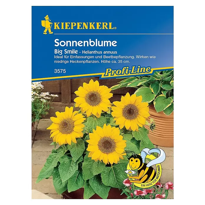 Kiepenkerl Blumensamen Sonnenblume - Big Smile, Helianthus annuus, Blütezeit: Mai - Vorderansicht