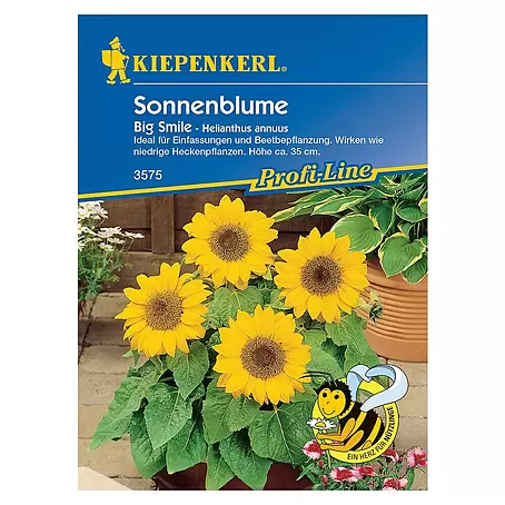 Kiepenkerl  Blumensamen Sonnenblume