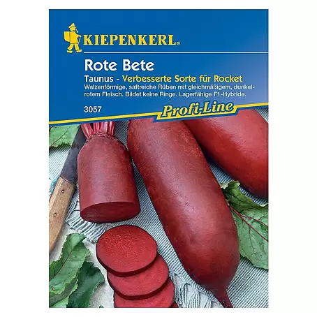 Kiepenkerl Profi-Line Gemüsesamen Rote Bete