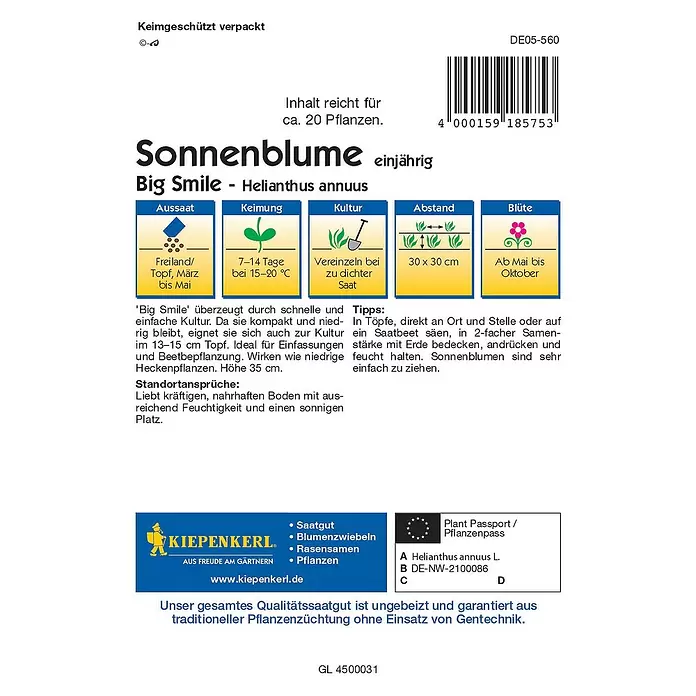 Kiepenkerl Blumensamen Sonnenblume - Big Smile, Helianthus annuus, Blütezeit: Mai - Rückansicht