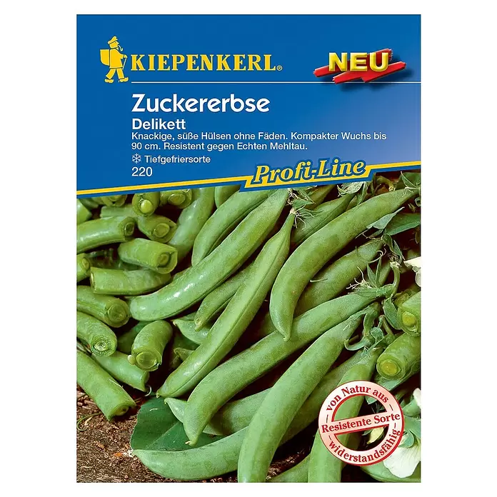 Kiepenkerl Profi-Line Gemüsesamen Zuckererbse Delikett - Pisum sativum, Erntezeit: Juni - Vorderansicht