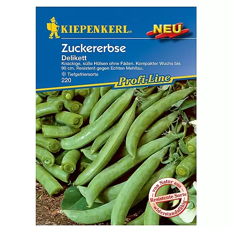 Kiepenkerl Profi-Line Gemüsesamen Zuckererbse Delikett