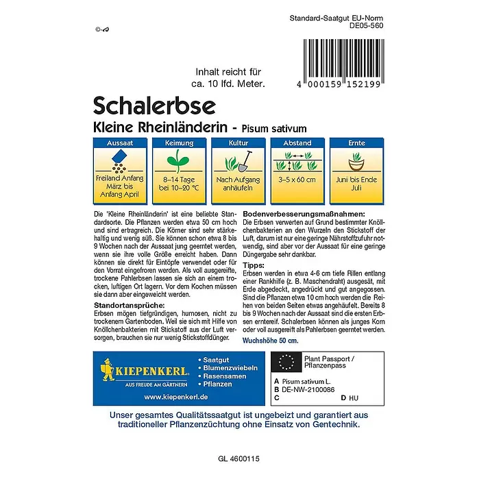 Kiepenkerl Gemüsesamen Schalerbse Kleine Rheinländerin - Pisum sativum, Erntezeit: Juni - Rückansicht