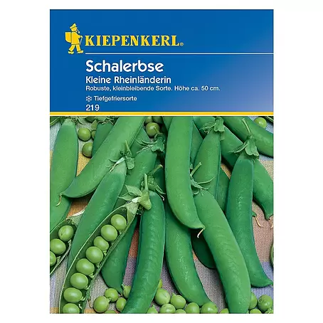 Kiepenkerl  Gemüsesamen Schalerbse Kleine Rheinländerin