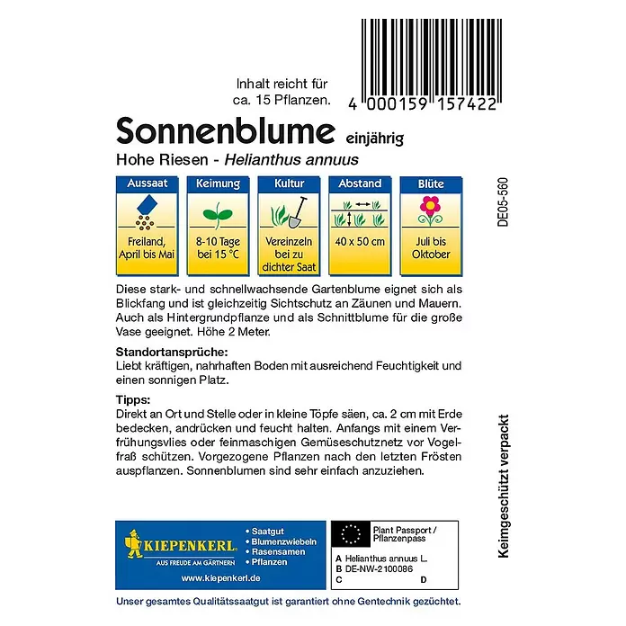 Kiepenkerl Blumensamen Sonnenblume - Hohe Riesen, Helianthus annuus - Rückansicht
