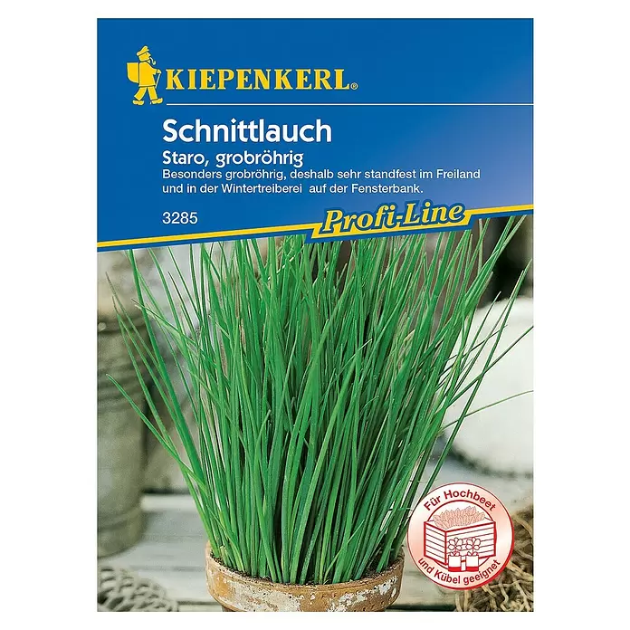 Kiepenkerl Profi-Line Kräutersamen Schnittlauch - Allium schoenoprasum, Saatzeit: April, Erntezeit: Ganzjährig - Vorderansicht