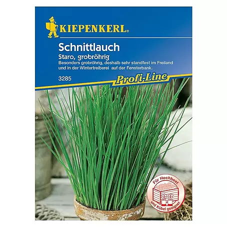 Kiepenkerl Profi-Line Kräutersamen Schnittlauch