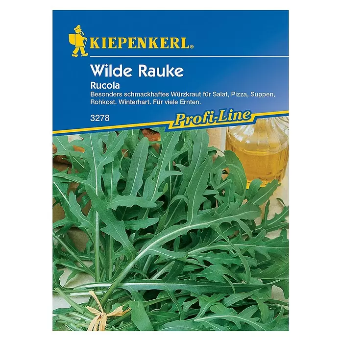 Kiepenkerl Profi-Line Salatsamen Wilde Rauke - Diplotaxis tenuifolia, Erntezeit: Ganzjährig - Vorderansicht