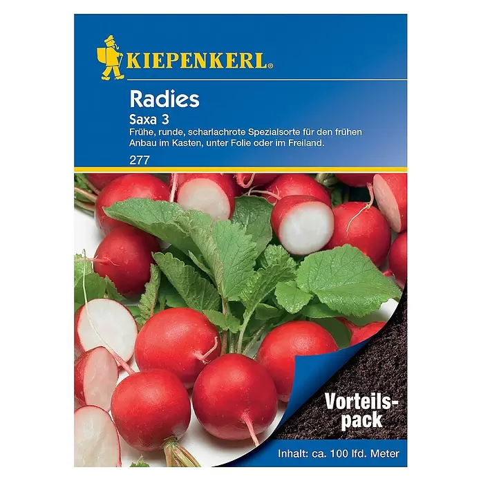 Kiepenkerl Gemüsesamen Radieschen - Saxa 3, Raphanus sativus var. sativus, Erntezeit: April - Vorderansicht