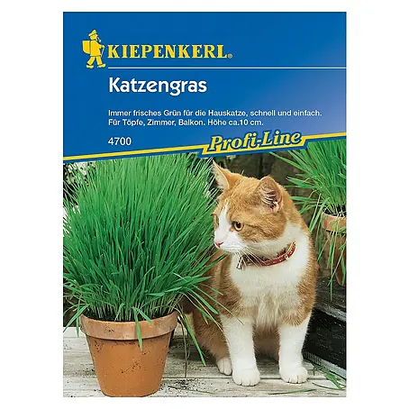 Kiepenkerl Profi-Line Saatgut Katzengras