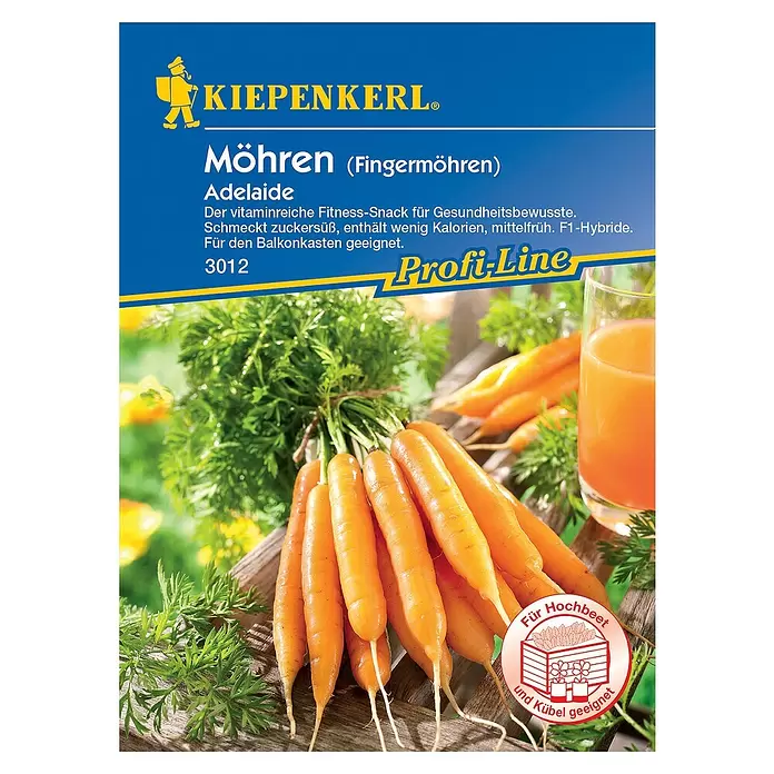 Kiepenkerl Gemüsesamen Möhre - Adelaide, Daucus carota ssp. sativus, Erntezeit: Juni - Vorderansicht