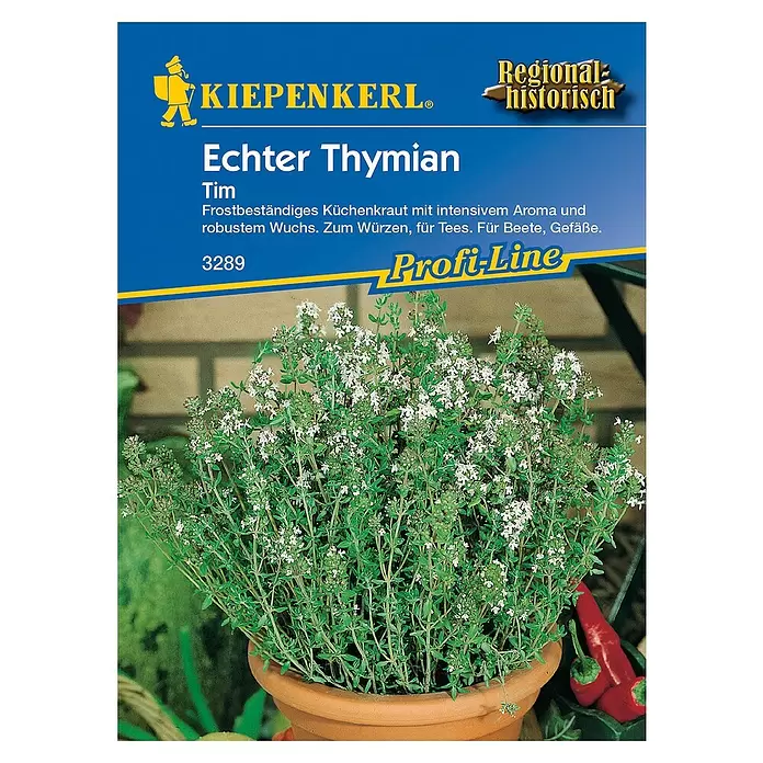 Kiepenkerl Profi-Line Kräutersamen Thymian - Thymus vulgaris, Erntezeit: Juli - Vorderansicht