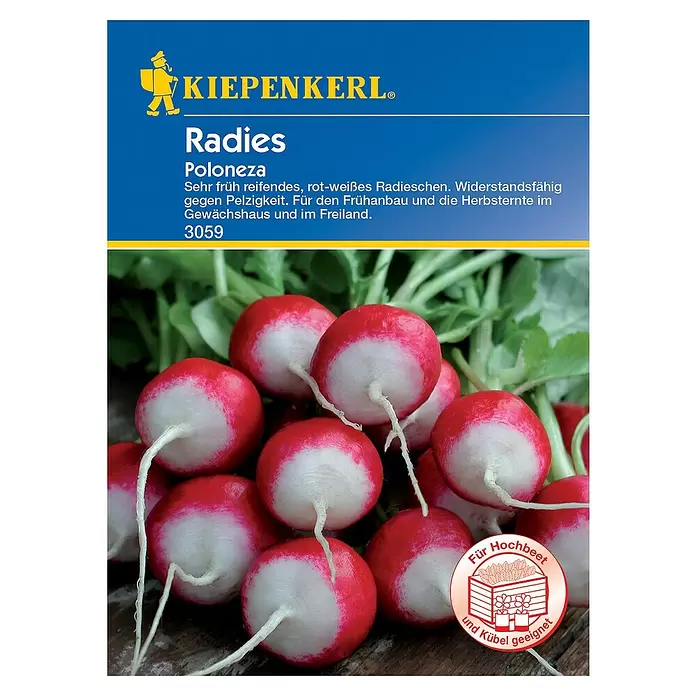 Kiepenkerl Gemüsesamen Radieschen - Poloneza, Raphanus sativus var. sativus, Erntezeit: März - Vorderansicht