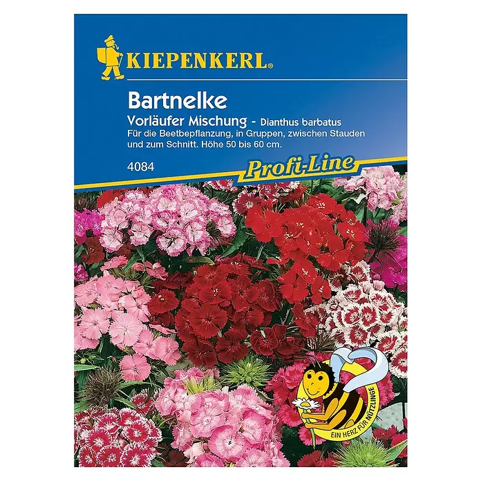 Kiepenkerl Profi-Line Blumensamen Bartnelke - Vorläufer Mix, Dianthus barbatus - Vorderansicht