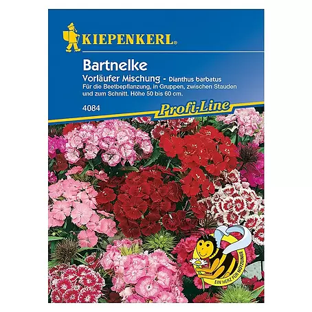 Kiepenkerl Profi-Line Blumensamen Bartnelke