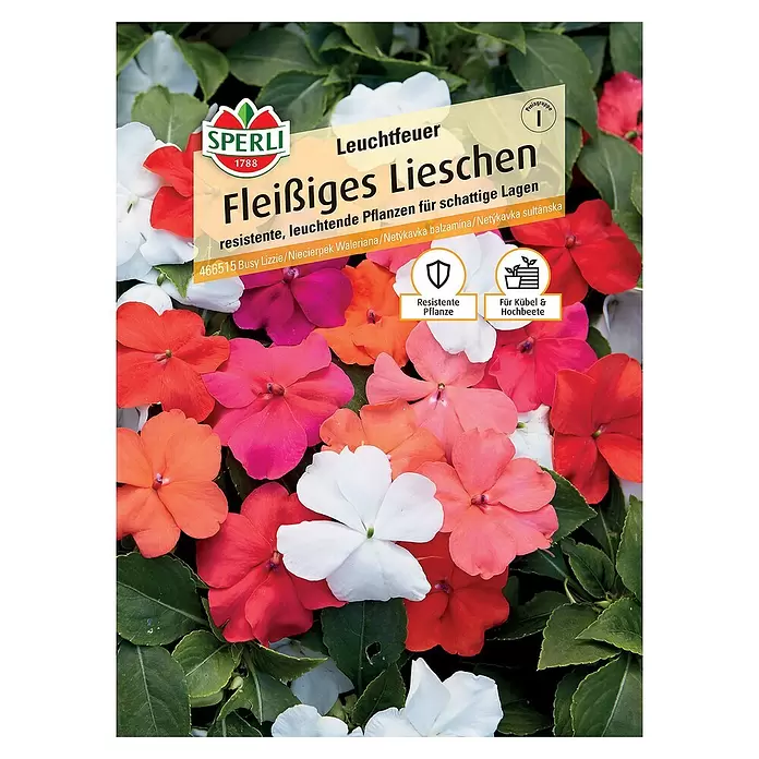 Sperli Blumensamen Fleißiges Lieschen - Impatiens walleriana - Vorderansicht