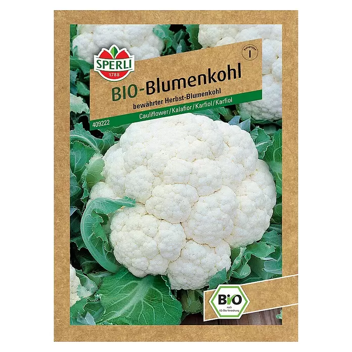 Sperli Gemüsesamen BIO Blumenkohl - Brassica oleracea var. botrytis, Erntezeit: September - Vorderansicht