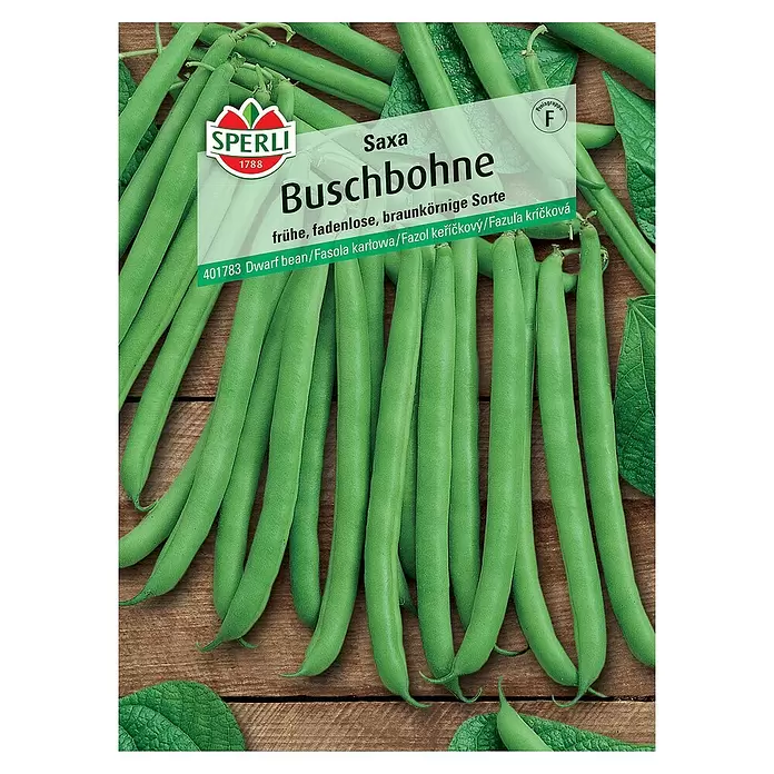 Sperli Gemüsesamen Buschbohne - Phaseolus vulgaris var. nanus, Erntezeit: Juli, Saxa - Vorderansicht