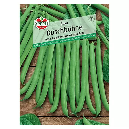 Sperli  Gemüsesamen Buschbohne