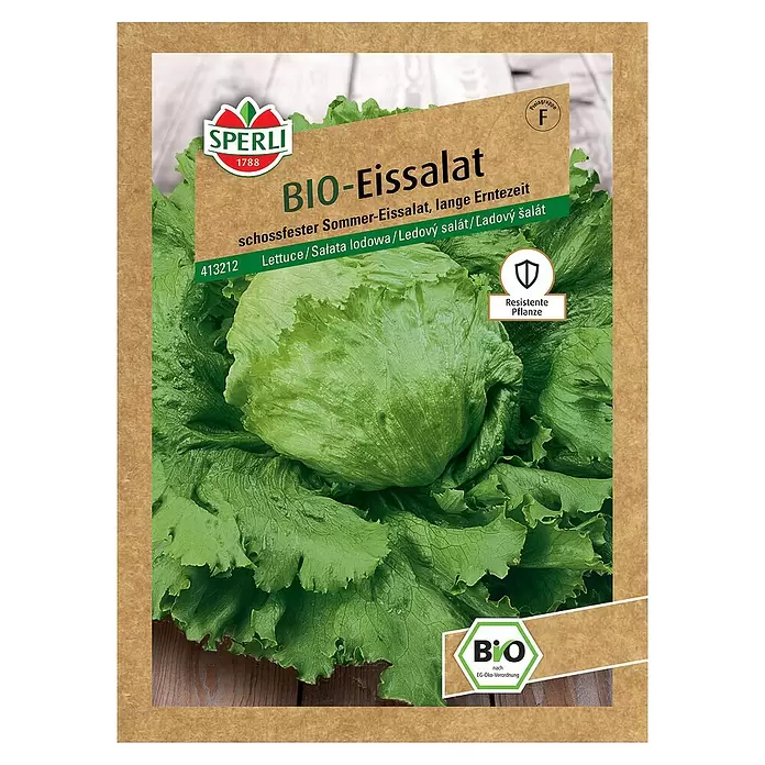 Sperli Salatsamen BIO Eissalat - Lactuca sativa, Erntezeit: Juni - Vorderansicht