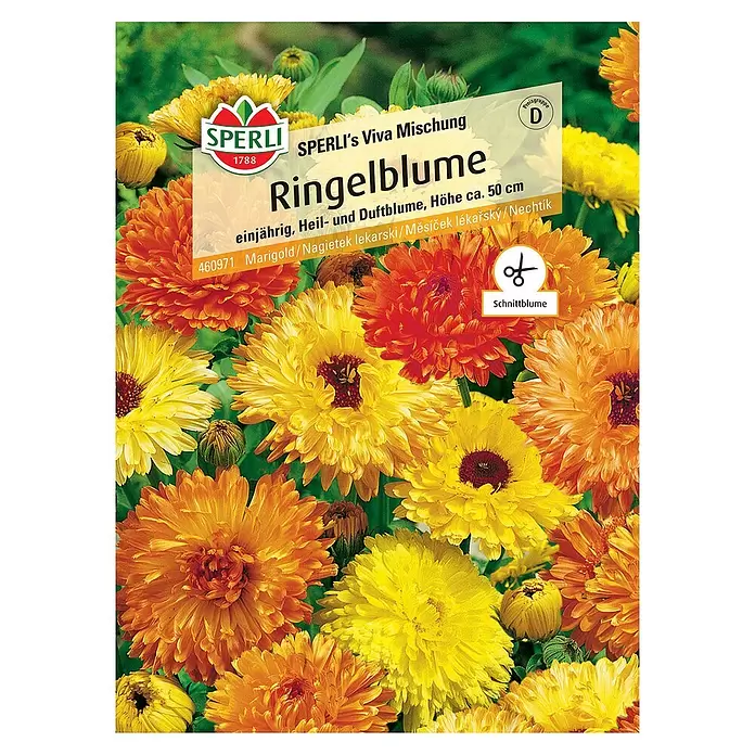 Sperli Blumensamen Ringelblume - Calendula officinalis - Vorderansicht