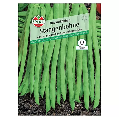 Sperli  Gemüsesamen Stangenbohne