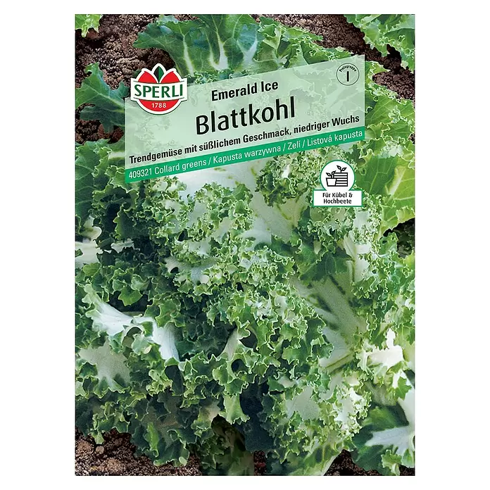 Sperli Gemüsesamen Blattkohl - Brassica oleracea var. sabellica, Erntezeit: Oktober - Vorderansicht