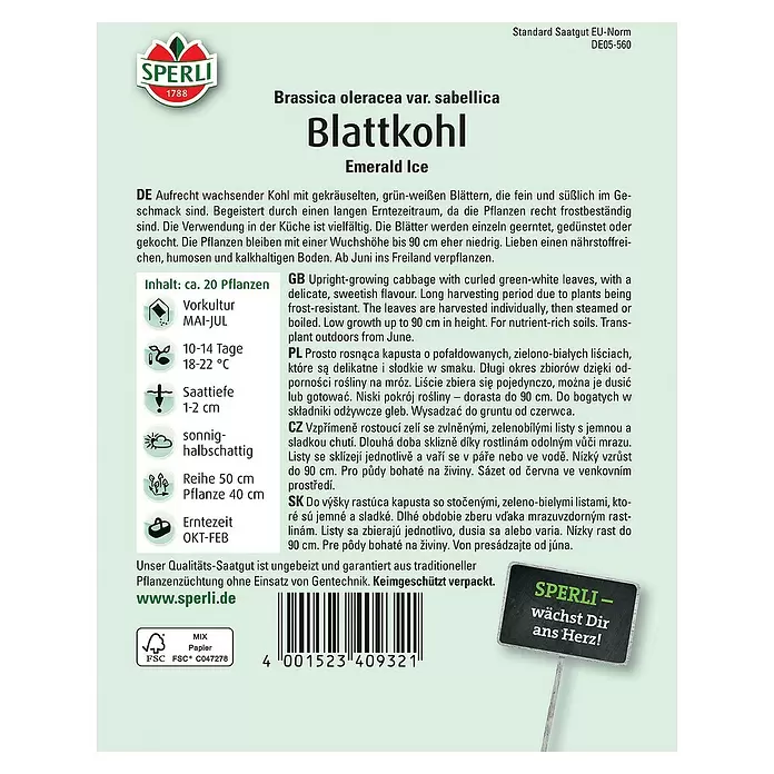 Sperli Gemüsesamen Blattkohl - Brassica oleracea var. sabellica, Erntezeit: Oktober - Rückansicht