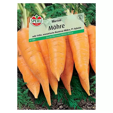 Sperli  Gemüsesamen Möhre