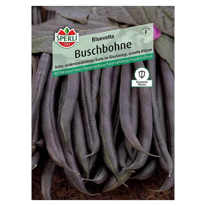 Sperli Gemüsesamen Buschbohne - Phaseolus vulgaris, Erntezeit: Juli, Bluevetta - Vorderansicht