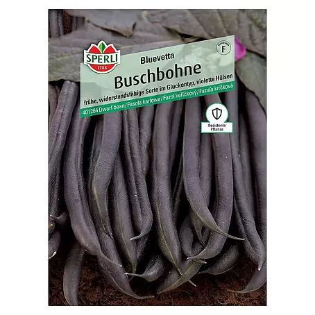 Sperli  Gemüsesamen Buschbohne